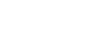 hyster yale white
